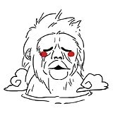 专家头像