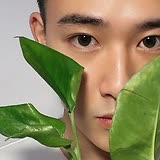 专家头像
