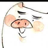 专家头像