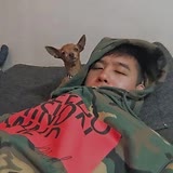 专家头像