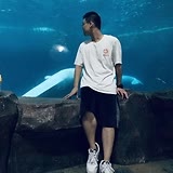 专家头像
