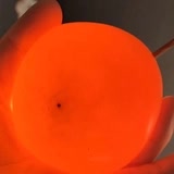 专家头像