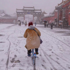 专家头像
