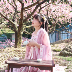 专家头像