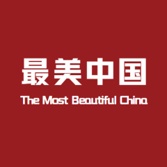 专家头像