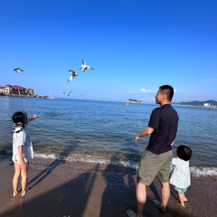 专家头像