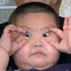 专家头像
