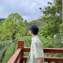 专家头像