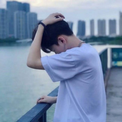 专家头像