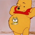 专家头像