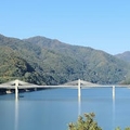 专家头像