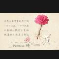 专家头像