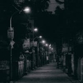 专家头像