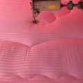 专家头像