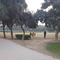 专家头像