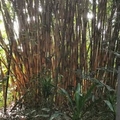 专家头像