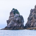 专家头像
