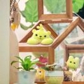 专家头像
