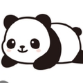 专家头像