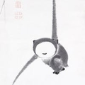 专家头像
