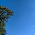专家头像