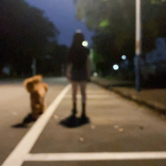 专家头像