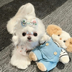 专家头像