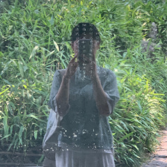 专家头像
