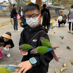 专家头像