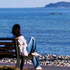 专家头像