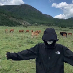 专家头像